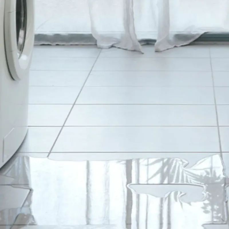 Appliance Leak Cleanup in Independence, OR
